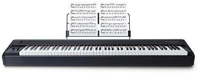 M-Audio Hammer 88 + SP-2 - USB/MIDI Keyboard Controller mit 88-Hammermechanik-Tasten + Universal Sus
