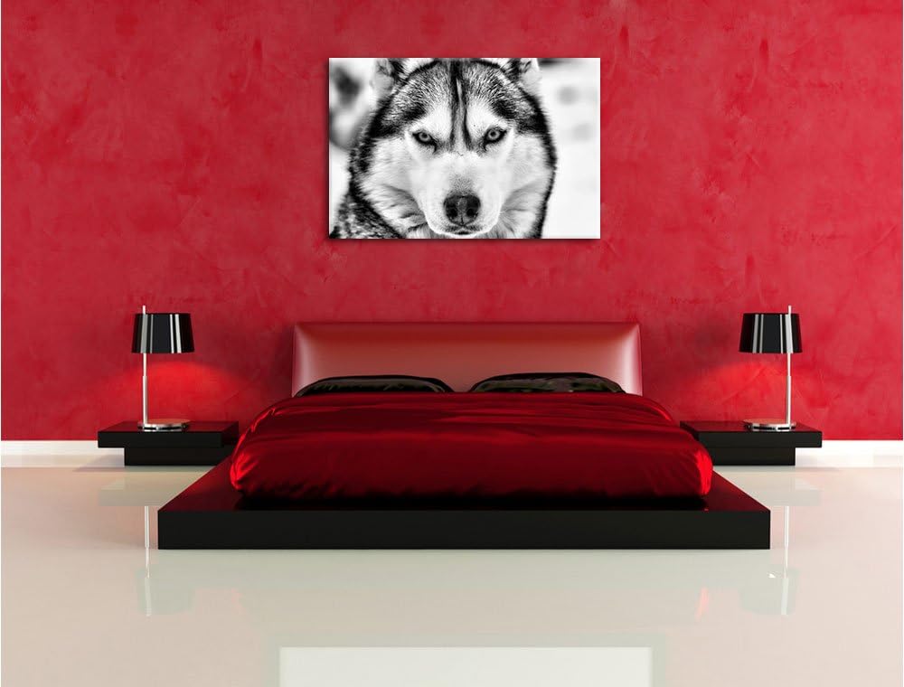 Monocrome, Husky, Format: 100x70 auf Leinwand, XXL riesige Bilder fertig gerahmt mit Keilrahmen, Kun