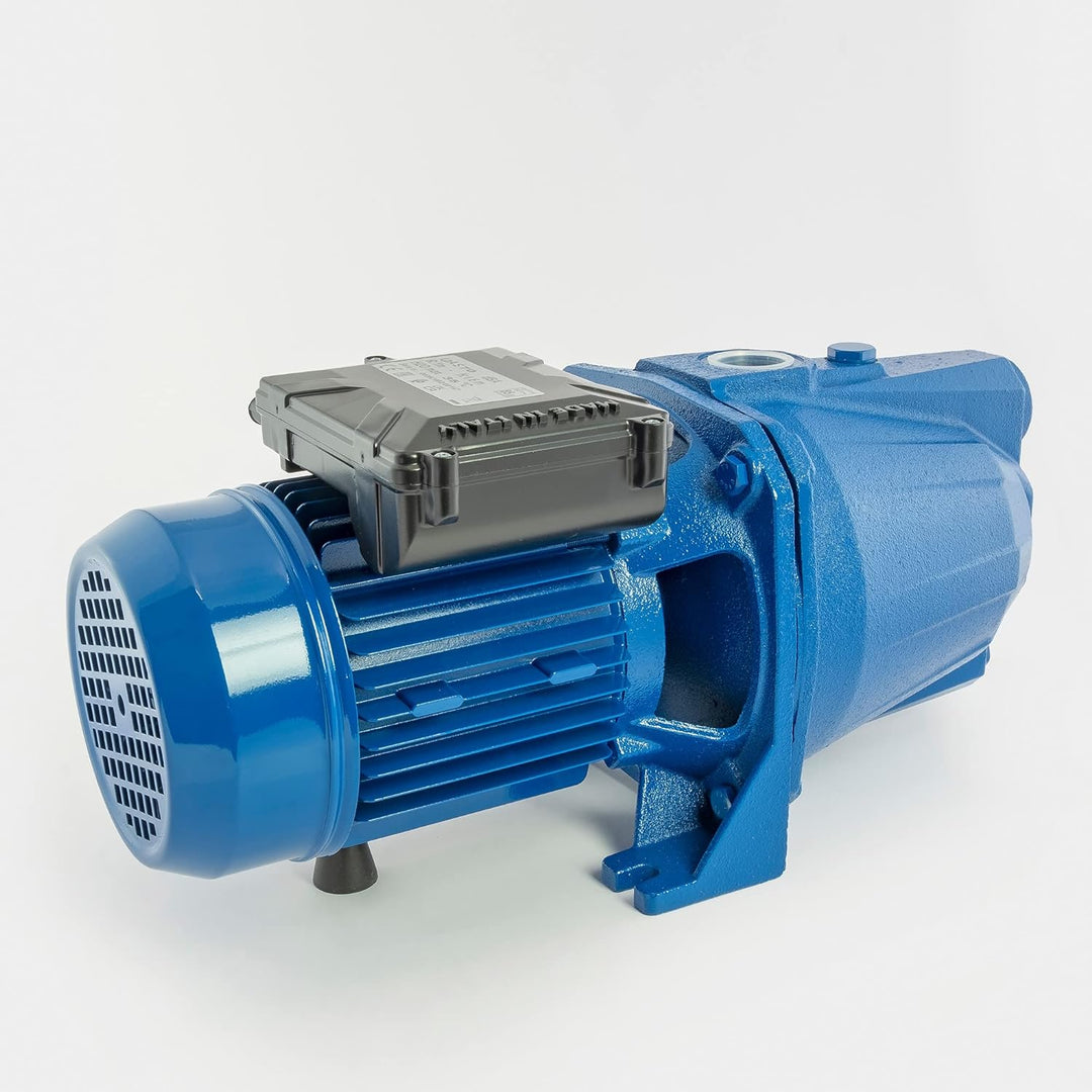 Speroni® Selbstansaugende Elektropumpe CAM 100 V.230 Hz.50