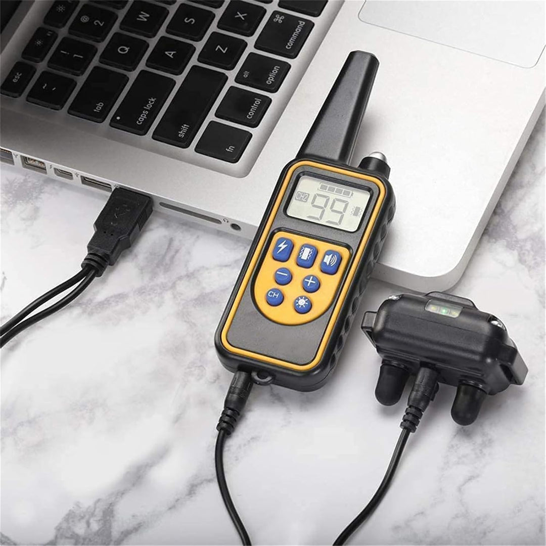 Generisch Agility-Ausrüstung,2025Erziehungshilfen,Ideal auch für Agility-Training.Praktische Hundeer