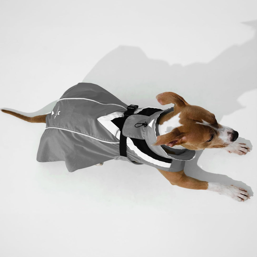 DOGOPAL Regenmantel Hund wasserdicht für kleine & grosse Hunde - Gelber Hunderegenmantel mit Reflekt