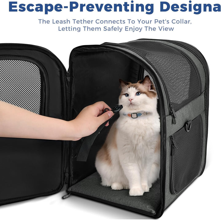 Apollo Walker Pet Carrier Backpack for Large/Small Cats and Dogs, Puppies, Safety Features and Cushi