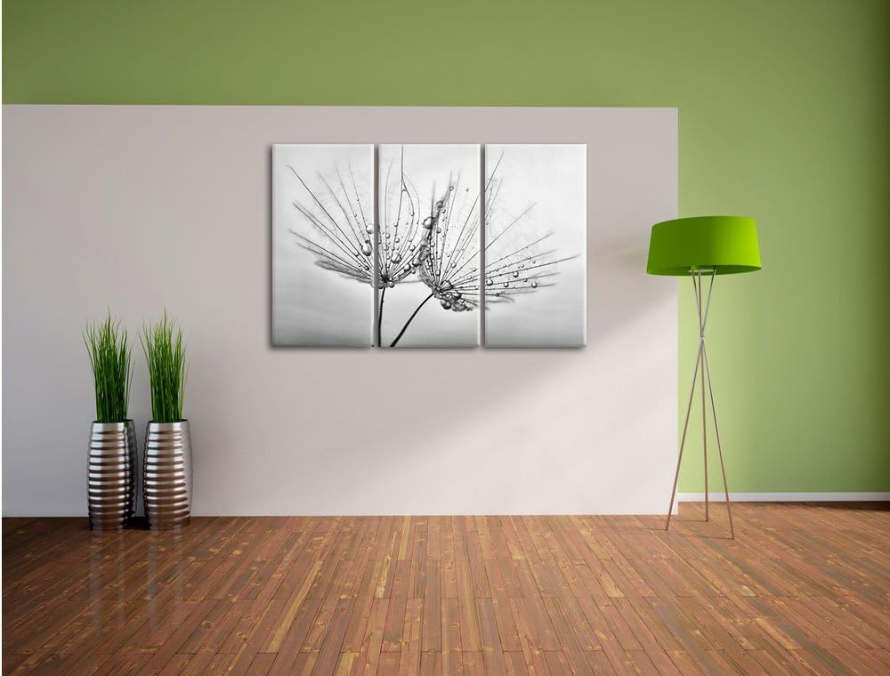 Pixxprint Pusteblumen mit Tautropfen als Leinwandbild/Grösse: 3 Teilig (120x80) cm/Wandbild/Kunstdru