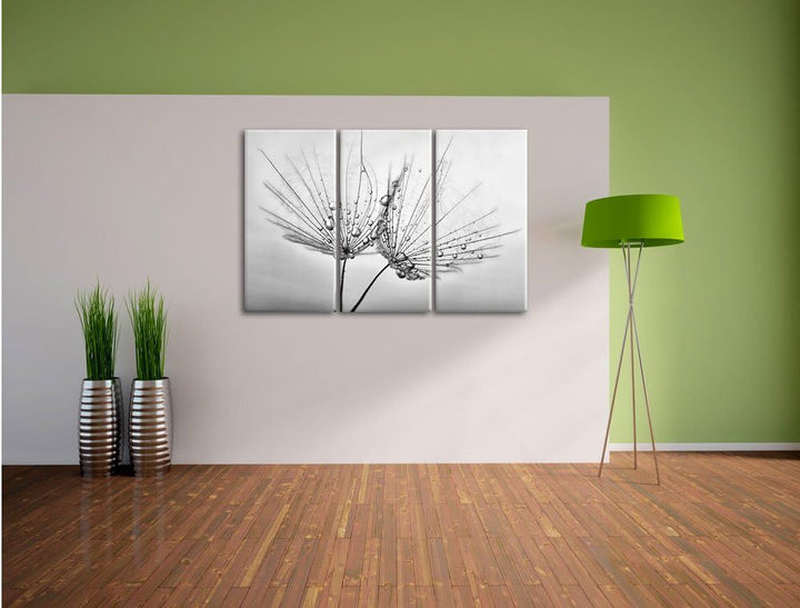 Pixxprint Pusteblumen mit Tautropfen als Leinwandbild/Grösse: 3 Teilig (120x80) cm/Wandbild/Kunstdru