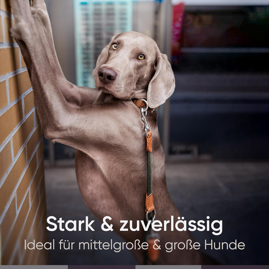 FREUDENTIER® Hundeleine 2m für mittelgrosse & grosse Hunde – 3-Fach verstellbar - Robustes Nylon abg
