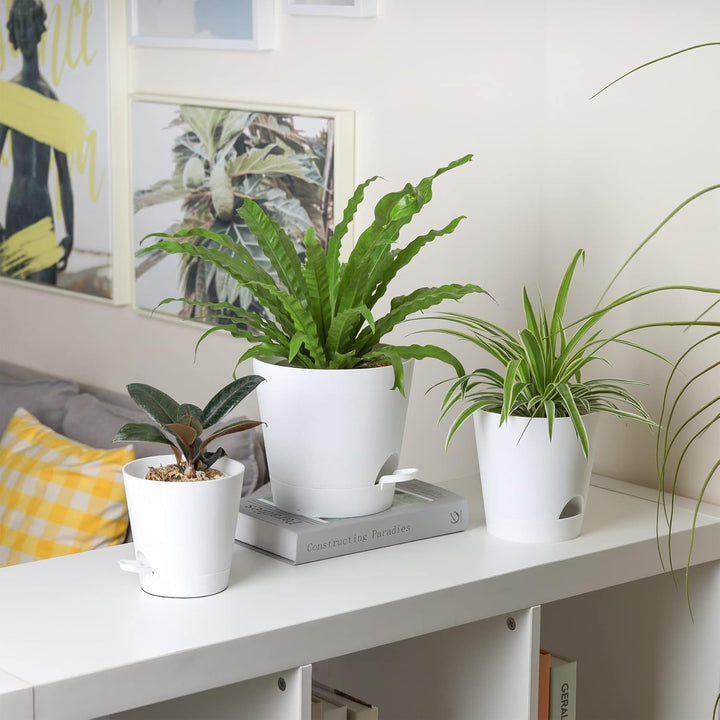 T4U 14cm Kunststoff Blumentopf mit Bewässerungssystem, 6er-Set Selbstbewässerung Übertopf mit Unters