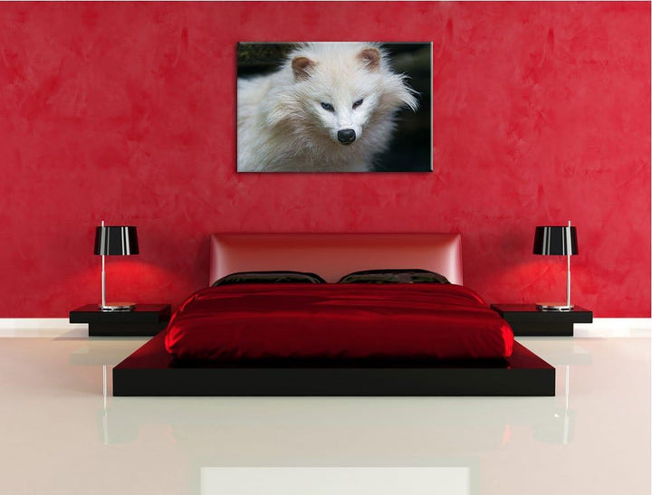 Pixxprint Kleiner Polarfuchs auf Leinwand, XXL riesige Bilder fertig gerahmt mit Keilrahmen, Kunstdr