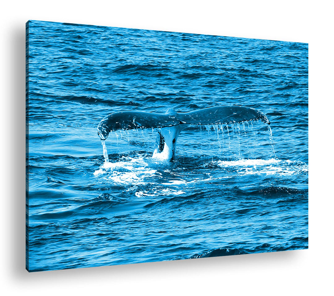 deyoli Schwanzflosse eines Wales Format 80x60 Effekt: Monocrome Blau als Leinwandbild, Motiv fertig
