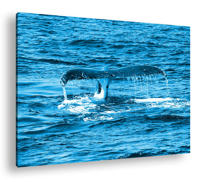 deyoli Schwanzflosse eines Wales Format 80x60 Effekt: Monocrome Blau als Leinwandbild, Motiv fertig