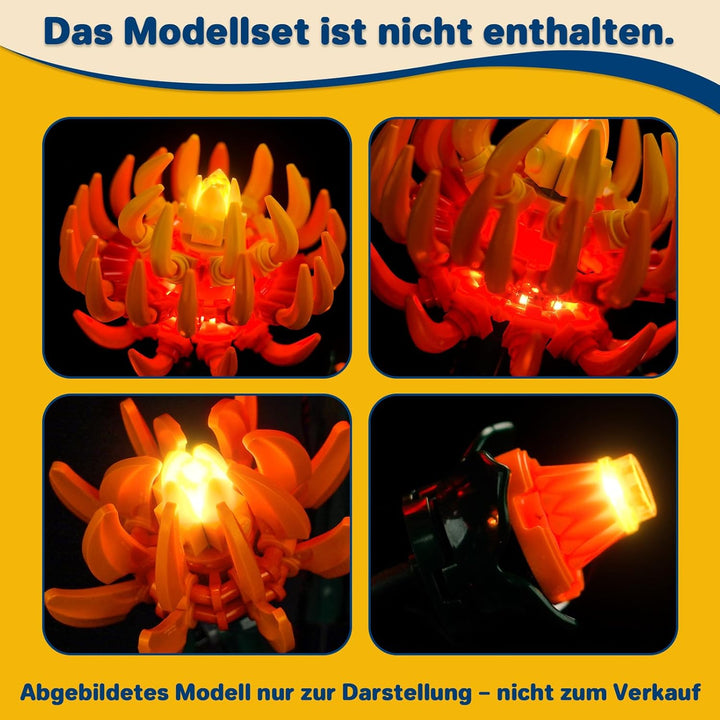 Licht Kompatibel mit Lego 10368 Chrysanthemum, Nur Lichter Set - Kein Modell, Licht BeleuchtungSet C
