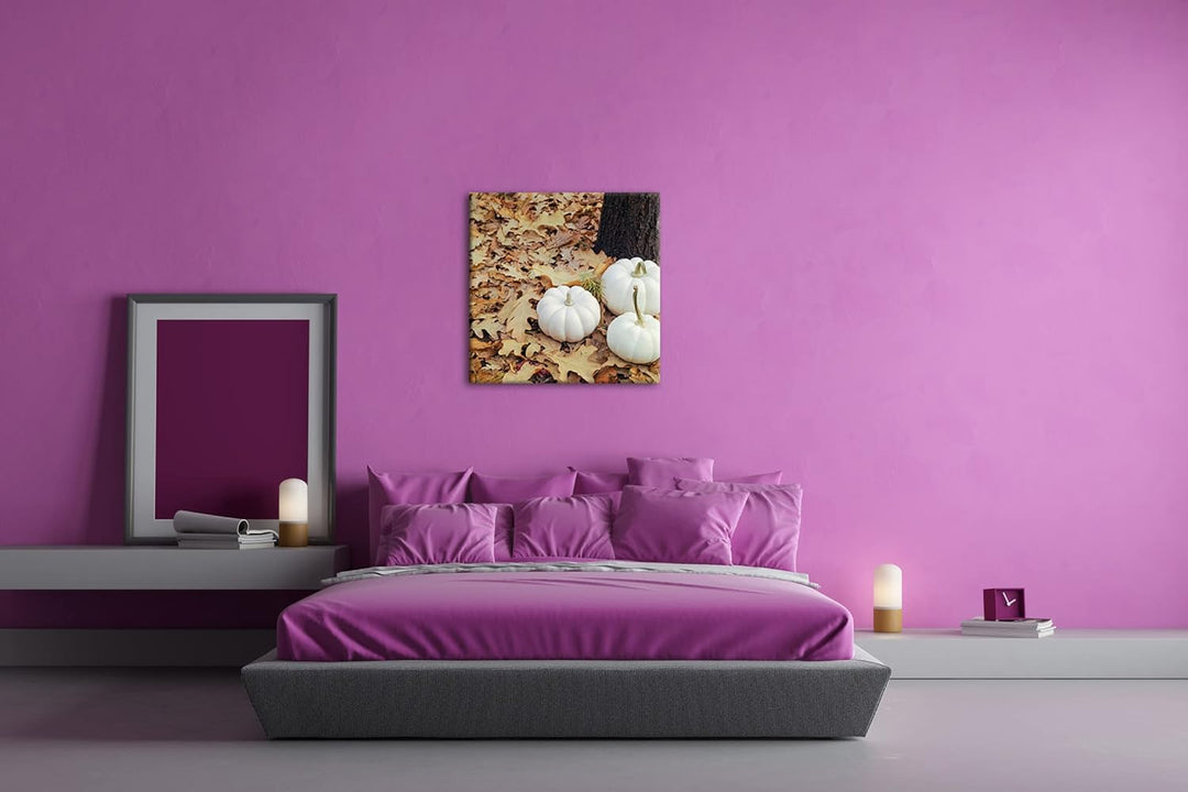 frische Kürbise Format: 70x70 als Leinwandbild, Motiv fertig gerahmt auf Echtholzrahmen, Hochwertige