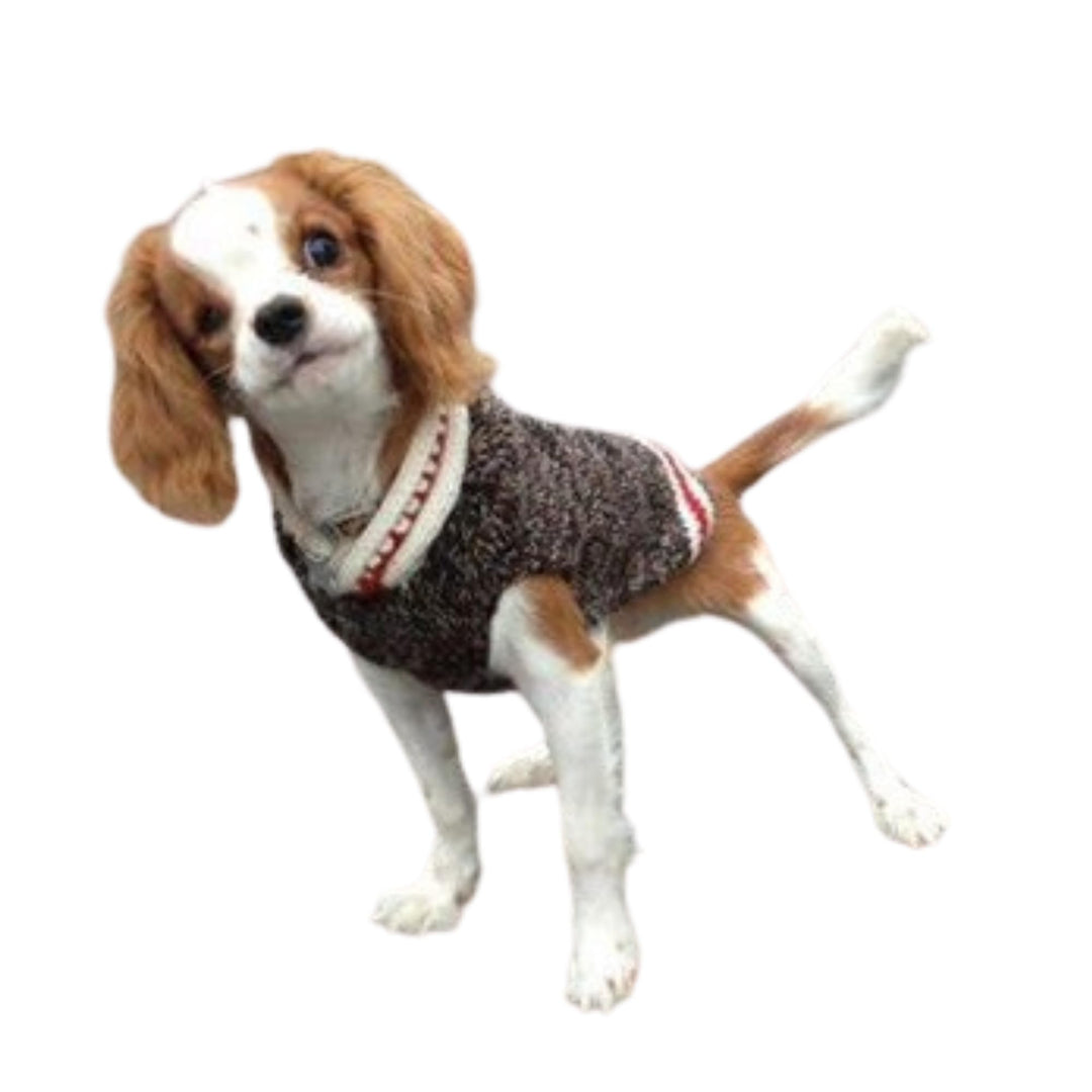 Chilly Dog Hunde-Pullover Small, Small