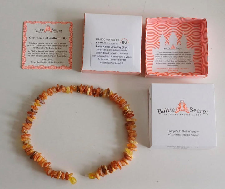 Bernsteinkette Hund | Bernsteinhalsband für Hunde & Katzen | Hundehalsband I Natürliches Halsband Hu