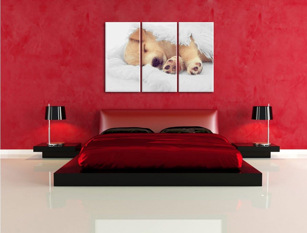 Pixxprint Kleiner schlafender Welpe als Leinwandbild/Grösse: 3 Teilig (120x80) cm/Wandbild/Kunstdruc