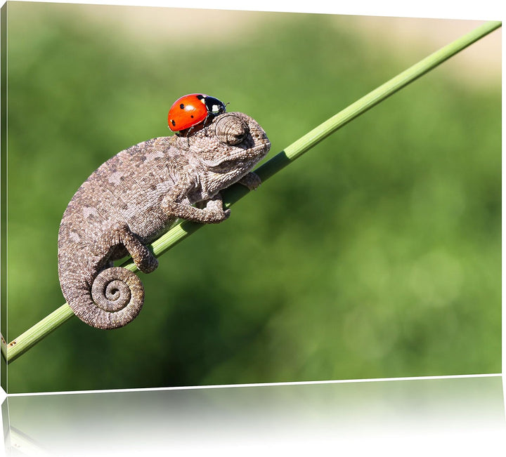 Pixxprint Süsser Gecko mit einem Marienkäfer / 100x70cm Leinwandbild bespannt auf Holzrahmen/Wandbil