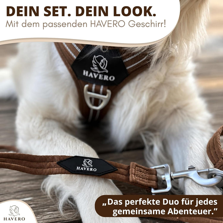 Hundegeschirr Easy-On-Clip – [Kein Überkopfziehen] | Anti-Zug Y-Geschirr Gepolstert Reflektierend At