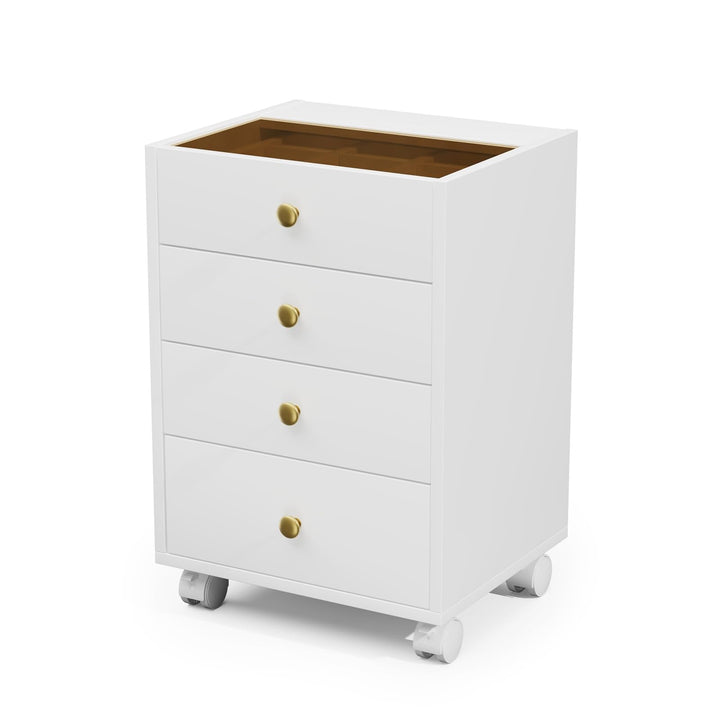 JanlyHome Rollcontainer mit 4 Schubladen, Mobiler Aktenschrank mit Rädern, Druckerständer, Aktenschr
