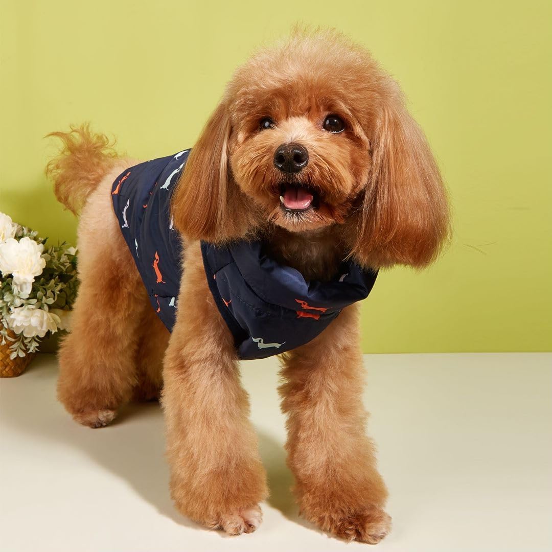 Hundemantel Winter Hundejacke Warme Hundemantel für Kleine Hunde Winddichte Hundeweste mit Geschirr