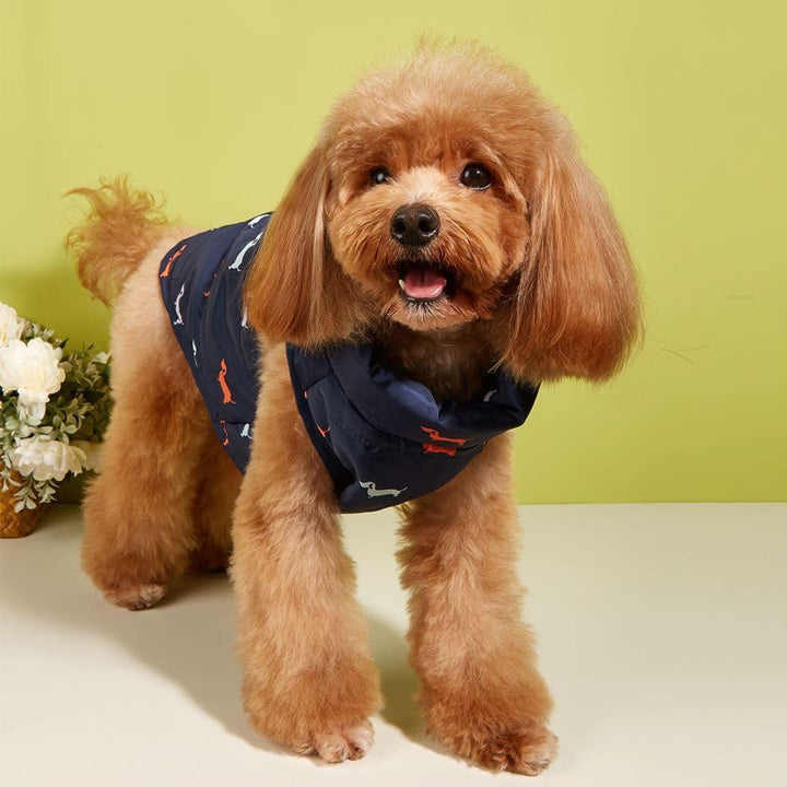 Hundemantel Winter Hundejacke Warme Hundemantel für Kleine Hunde Winddichte Hundeweste mit Geschirr