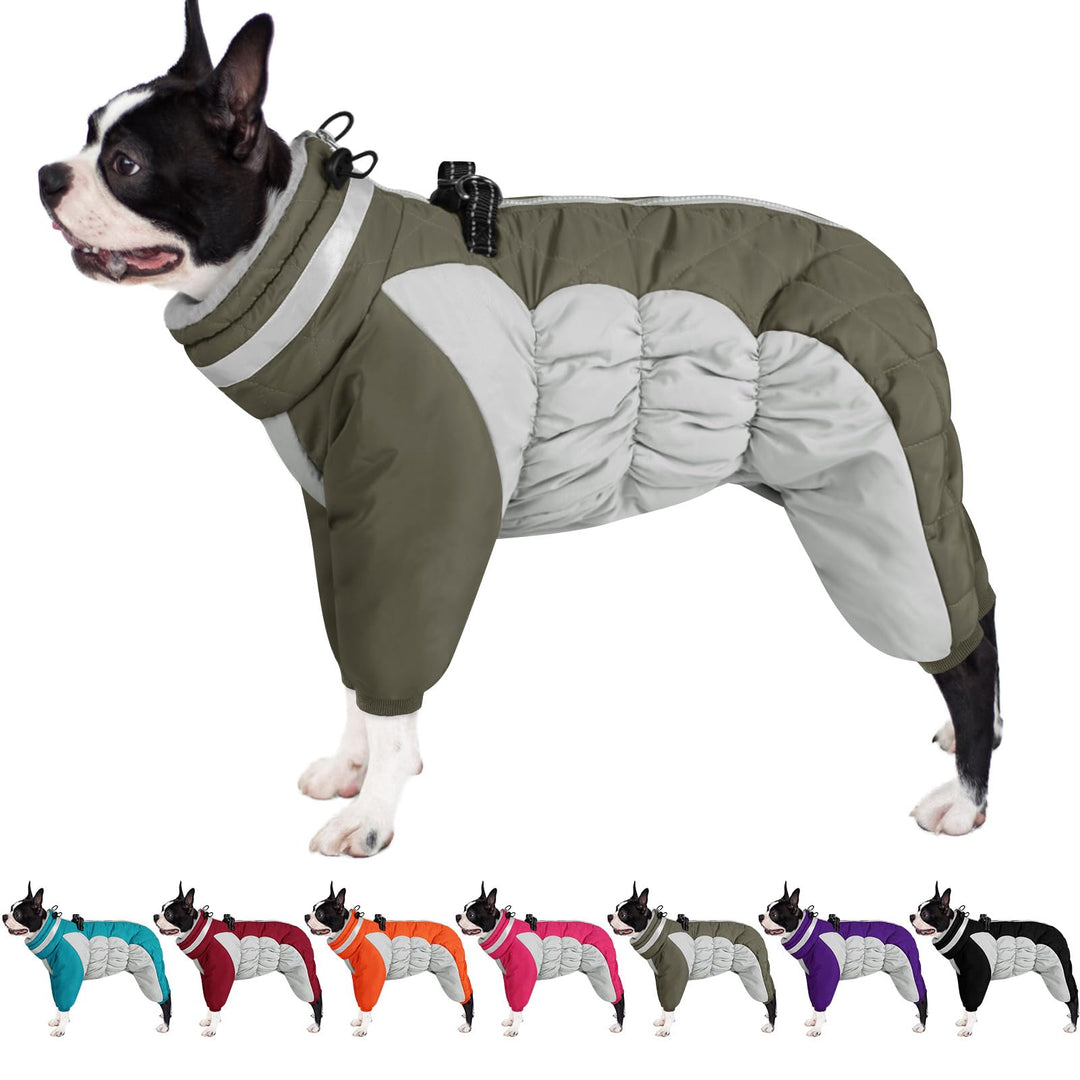AOFITEE Winteroverall für Hunde - Wasserdichter Hundemantel für Kleine Hunde mit Beinen, Winter Warm