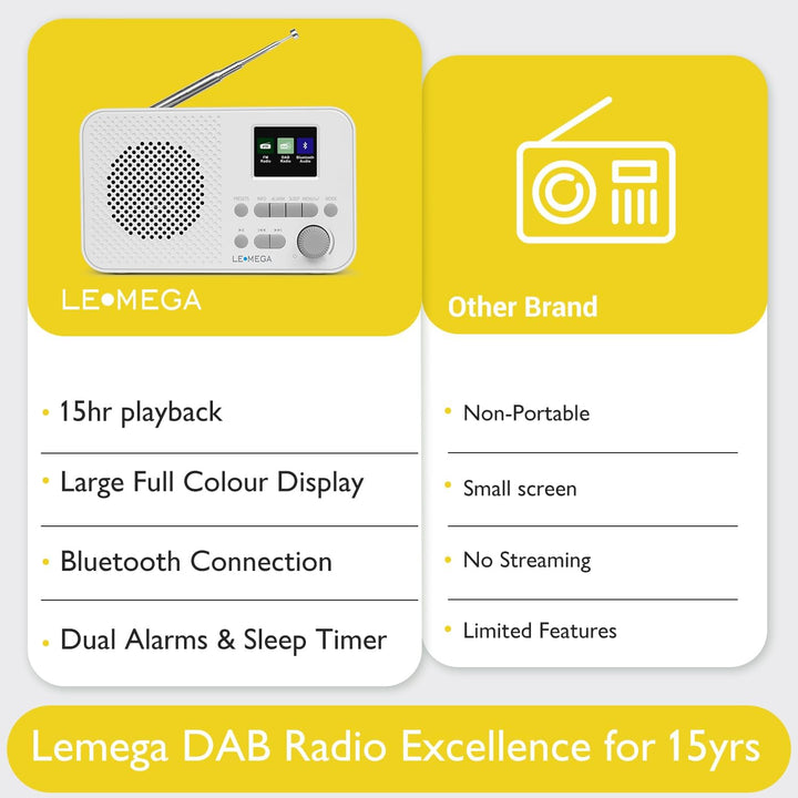 LEMEGA DAB GO Plus Radio (Steingrau, DAB GO) Steingrau DAB GO, Steingrau DAB GO