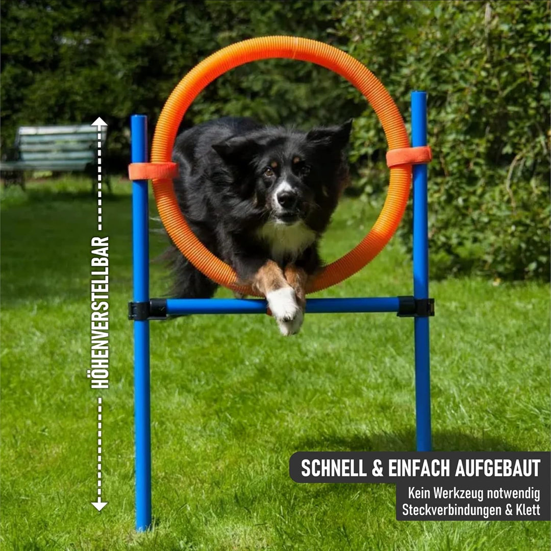NATIV LEMODO Agility Set Hunde | Hundetraining mit Agility Hürde, Hundetunnel und Sprungring | Einfa