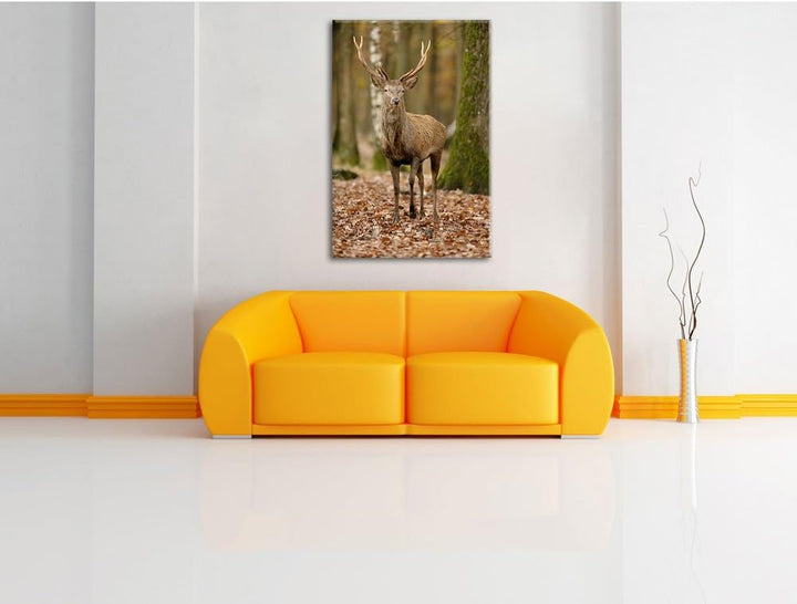 Schöner Hirsch im Wald, Format: 100x70 auf Leinwand, XXL riesige Bilder fertig gerahmt mit Keilrahme