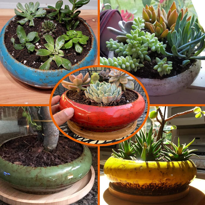 ARTKETTY 18,5 cm Rund Sukkulente Pflanzgefässe Töpfe Mit Drainageloch Bonsai Töpfe Garten Dekorative