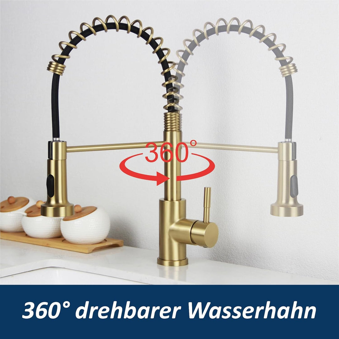 Wasserhahn Küche 2 Modi, Küchenarmatur mit Brause Ausziehbar Edelstahl 304 Spiralfederarmatur Mischb