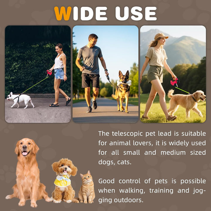 Hundeleine für 2 Hunde, Automatisch Einziehbare Hunde Leine mit Taschenlampe und Taschenspender, Dop