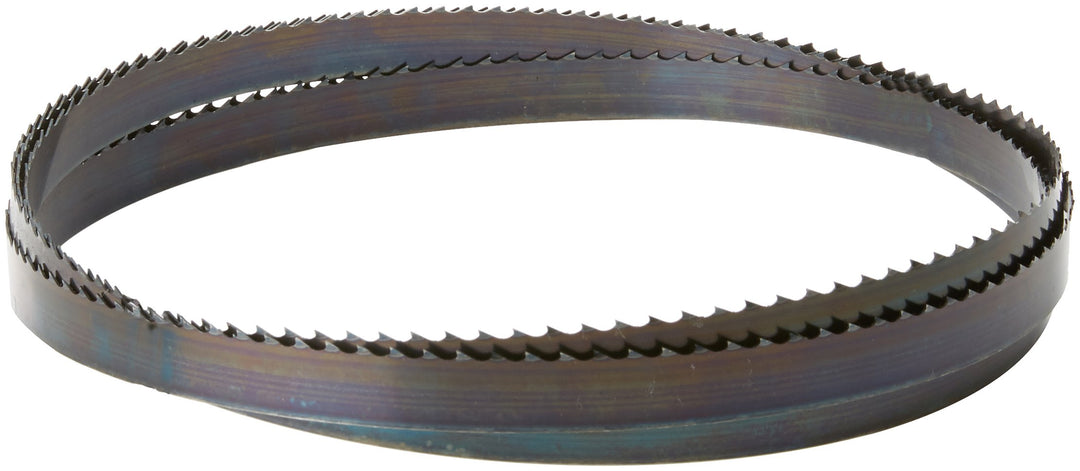 Holzkraft Sägeband (Länge 3865 mm, Zahnteilung 4 ZpZ, Höhe 20 mm, für Holz/Plastik/Kunststoffe) 5160