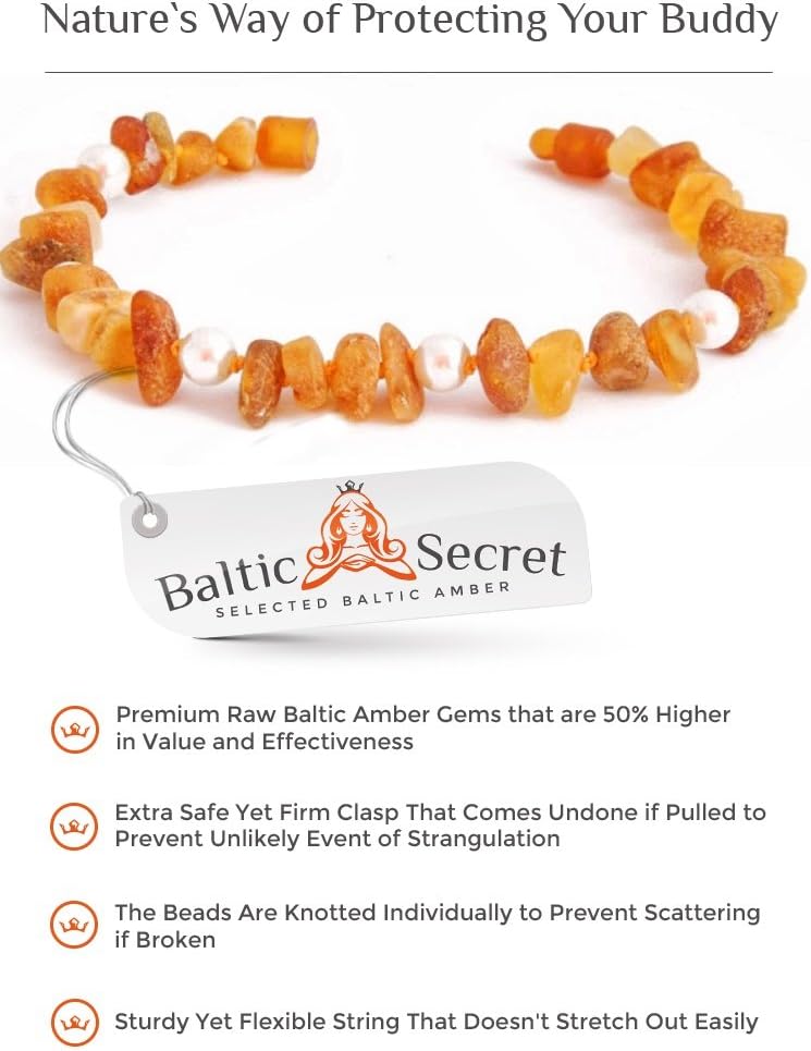 Bernsteinkette für Hund & Katze von Baltic Secret / 100 % Echter Baltischer Bernstein / Der Natürlic
