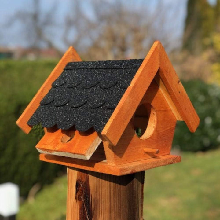 DARLUX Eichhörnchen Futterhaus wetterfest und stabile, Handmade aus eigener Produktion, Futterstatio