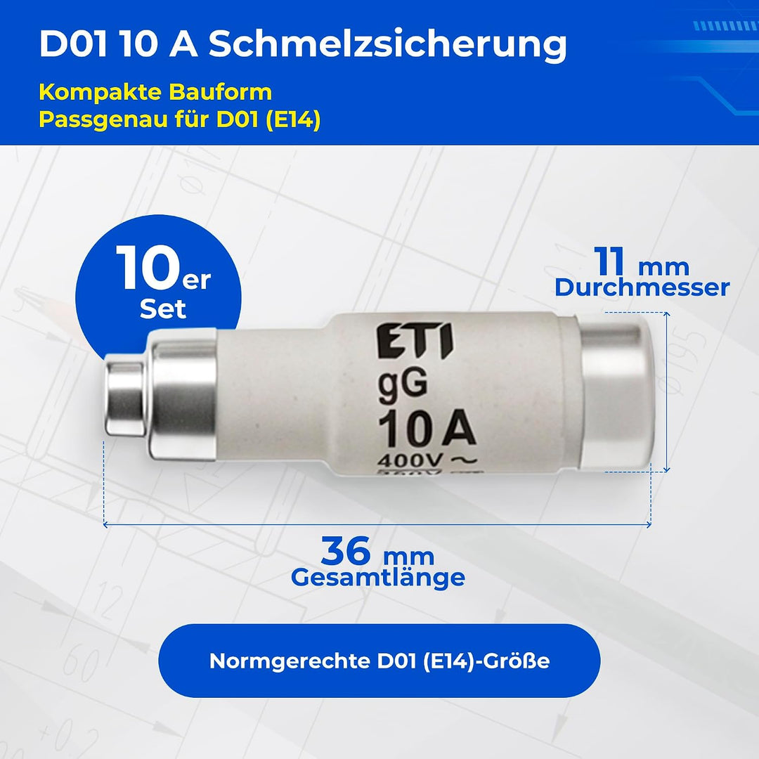 Sicherung NEOZED D01 und D02 10 bis 63 Ampère Blister mit 10 Stück Schmelzsicherungen träge als Ersa