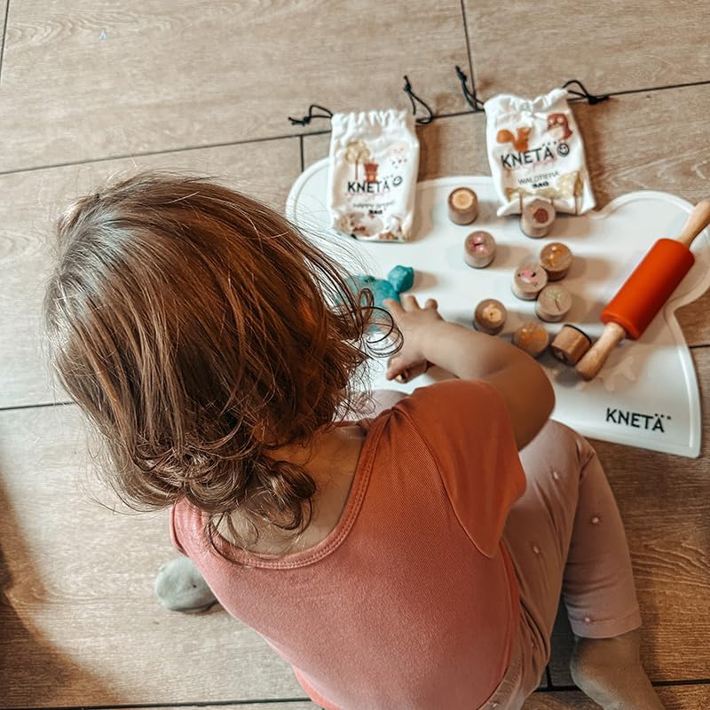 KNETÄ STARTÄR BUNDLES - Vegane Spielknete ab 1 Jahr I Made in Germany I Knetset I Knetzubehör (S) S
