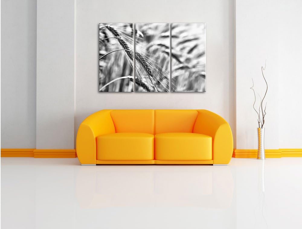 Pixxprint Weizen auf dem Feld als Leinwandbild/Grösse: 3 Teilig (120x80) cm/Wandbild/Kunstdruck/fert