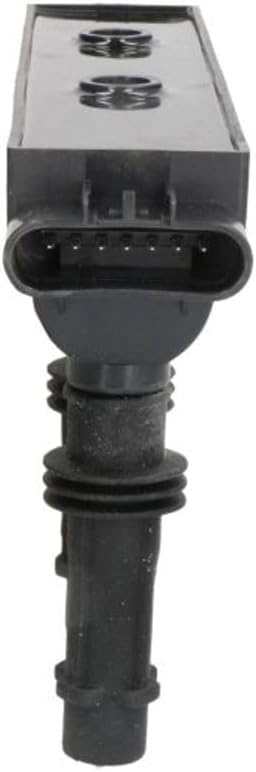 DELPHI GN10477-12B1 Zündspule