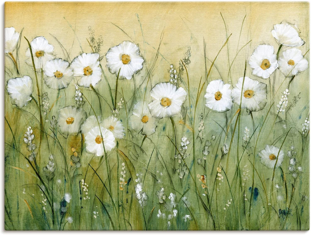 ARTland Leinwandbilder Wandbild Bild auf Leinwand 60 x 45 cm Wanddeko Botanik Blumen Gänseblümchen M