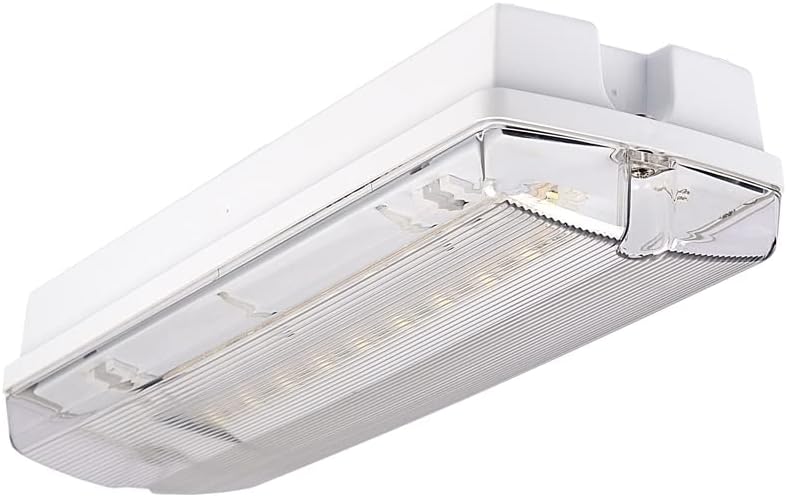 Notleuchte LED IP65 Notbeleuchtung notleuchte notausgang