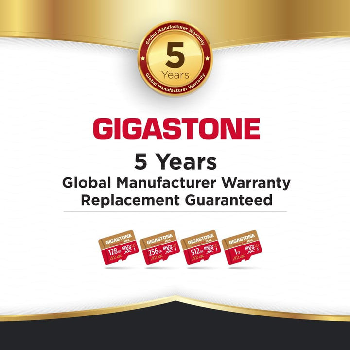 [5 Jahre kostenlose Datenwiederherstellung] GIGASTONE 1TB Micro SD Karte, Kamera Pro MAX, bis zu 150