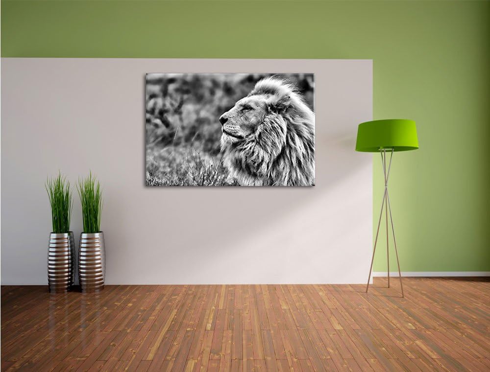 Pixxprint Weisser Löwe im Gebirge / 100x70cm Leinwandbild bespannt auf Holzrahmen/Wandbild Kunstdruc