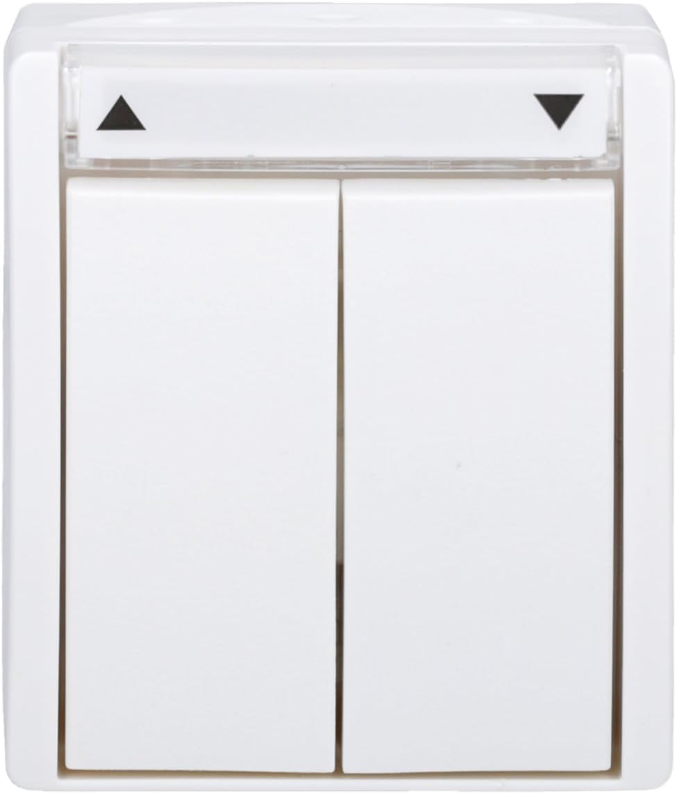 Busch-Jaeger BUSC Jalousietaster 2621/4 W-54, 250 V, Bunt