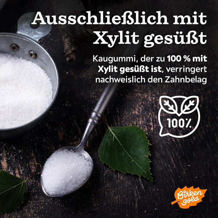 Birkengold Xylit Kaugummi Pfefferminze | 24 Stk. Blister | Zahnpflege-Kaugummi | zuckerfrei | hoher