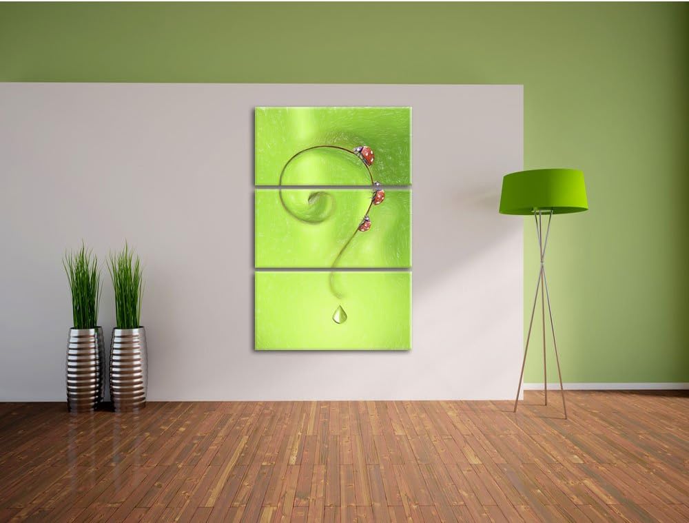 Pixxprint Marienkäfer Folgen dem Fragezeichen Kunst Buntstift Effekt 3-Teiler Leinwandbild 120x80 Bi