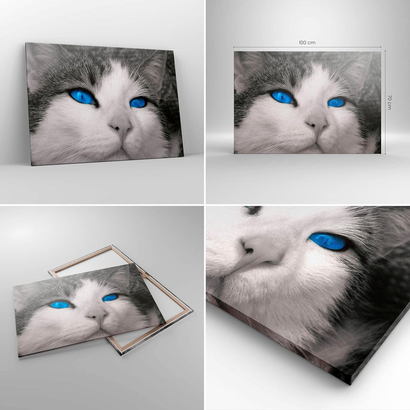 Bilder auf Leinwand 100x70cm Leinwandbild Katze Tiere blaue Augen Gross Wanddeko Bild Schlafzimmer K