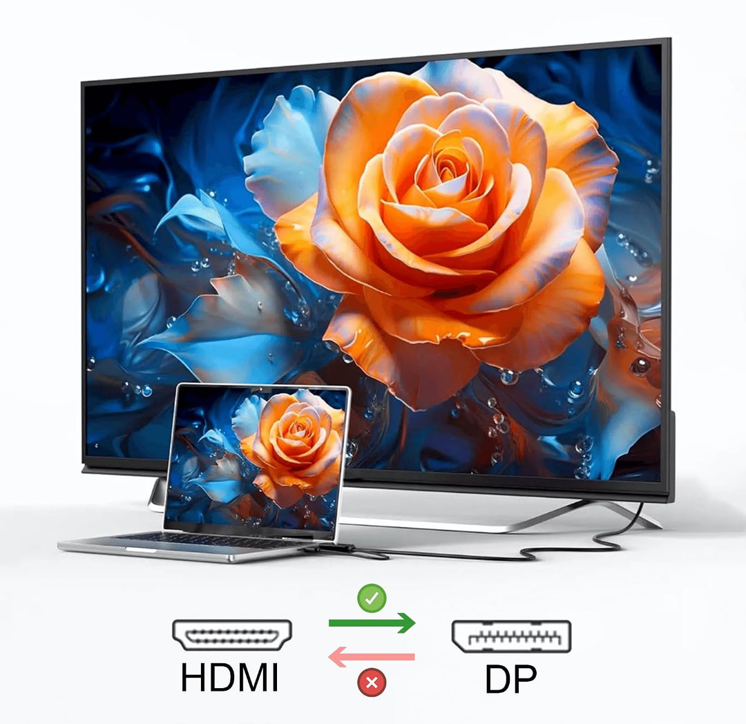 Reagle HDMI zu DisplayPort Kabel 4K 60Hz - Einweg-Übertragung, Plug &amp; Play, USB-A Stromversorgung, U