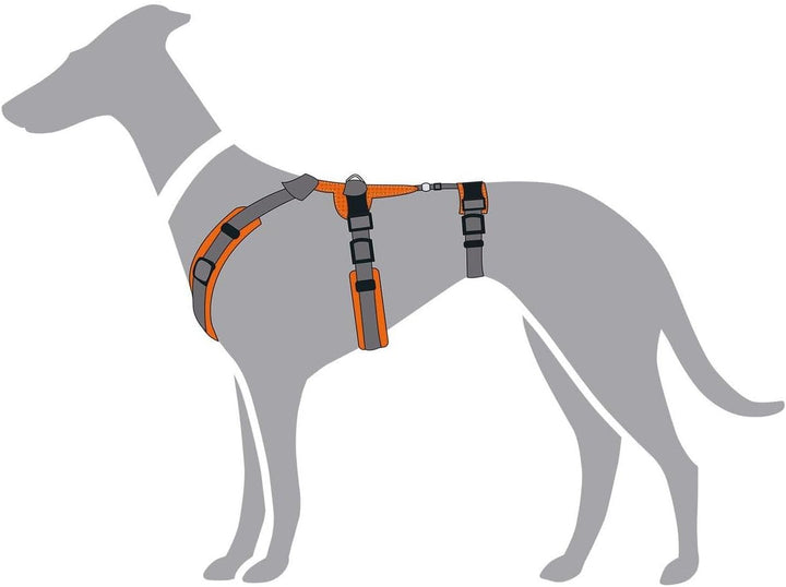 Sicherheitsgeschirr Maldon Farbe orange/grau, Grösse XS XS orange/grau, XS orange/grau