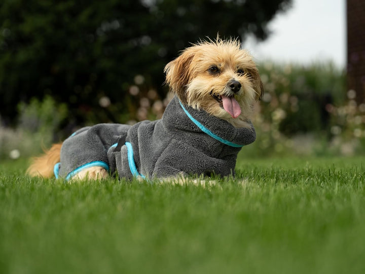 TrendPet Dampfhund Premium Bademantel für Hunde, Supersaugfähig und in 11 Grössen verfügbar - Passen
