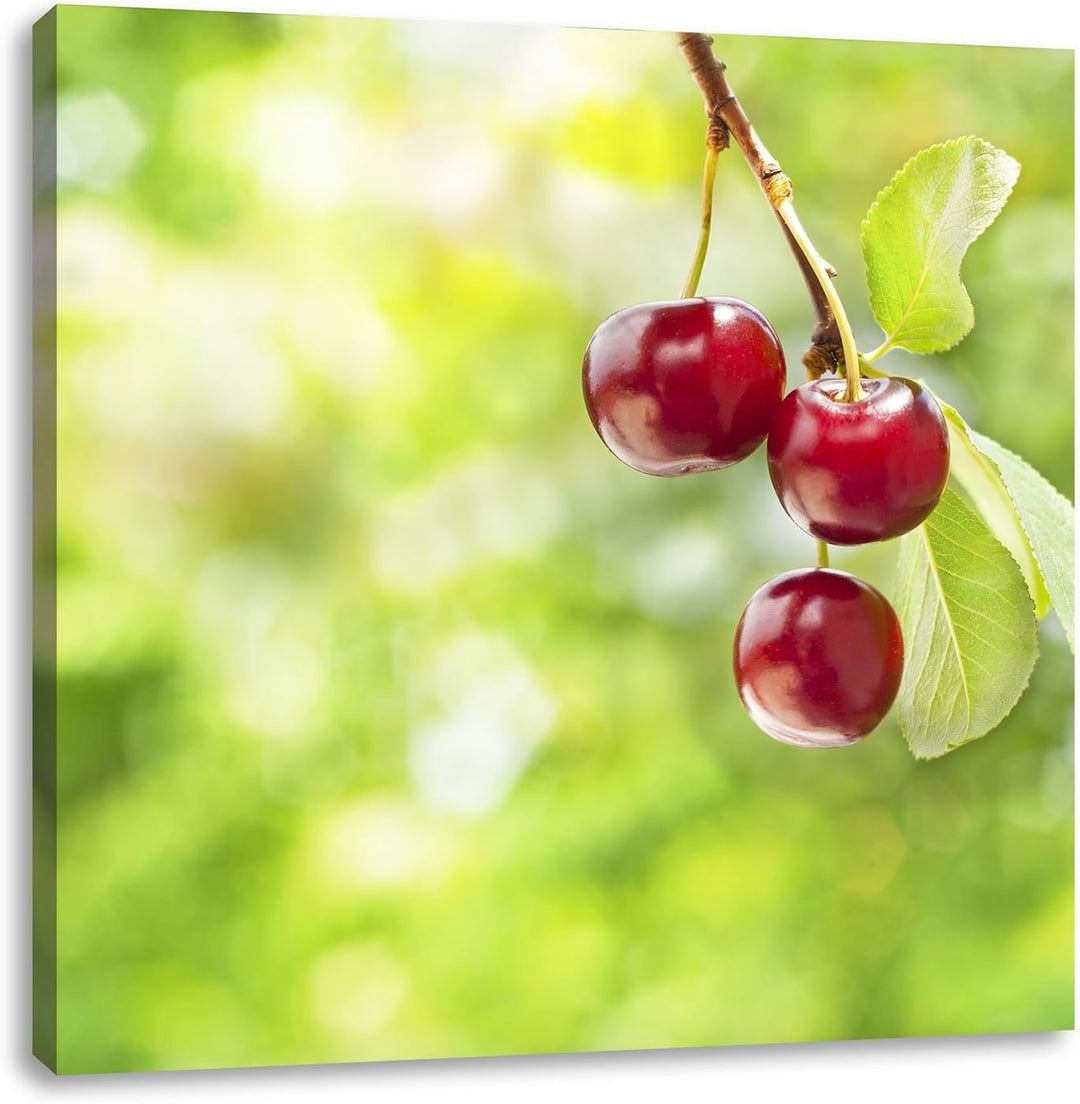 Pixxprint Kirsche, Format: 70x70 auf Leinwand, XXL riesige Bilder fertig gerahmt mit Keilrahmen, Kun