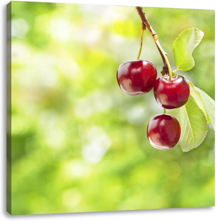 Pixxprint Kirsche, Format: 70x70 auf Leinwand, XXL riesige Bilder fertig gerahmt mit Keilrahmen, Kun